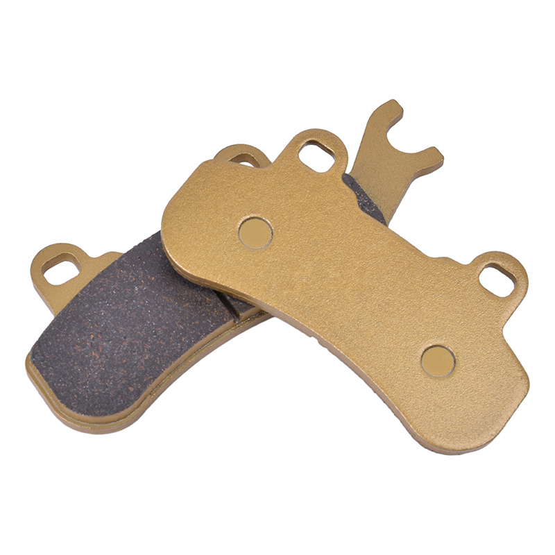 Motorrad Vorne Hinten Bremsbel – Carbon Ceramic Motorcycle Brake Rotor Bewertung und Preis