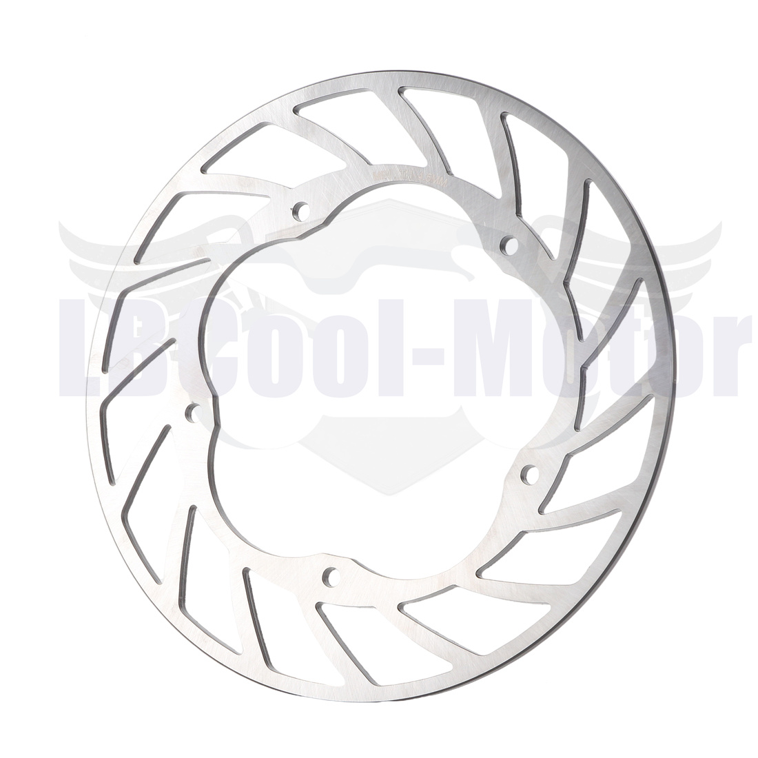 Hinterrad-Bremsscheibe für BMW – Brake Rotor Bewertung und Preis