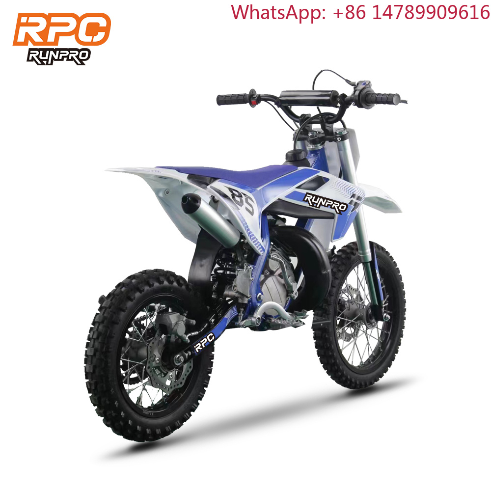 Leichtes DesignRUNPRO R-GD010  – Brake Disc Motorcycle Bewertung und Preis