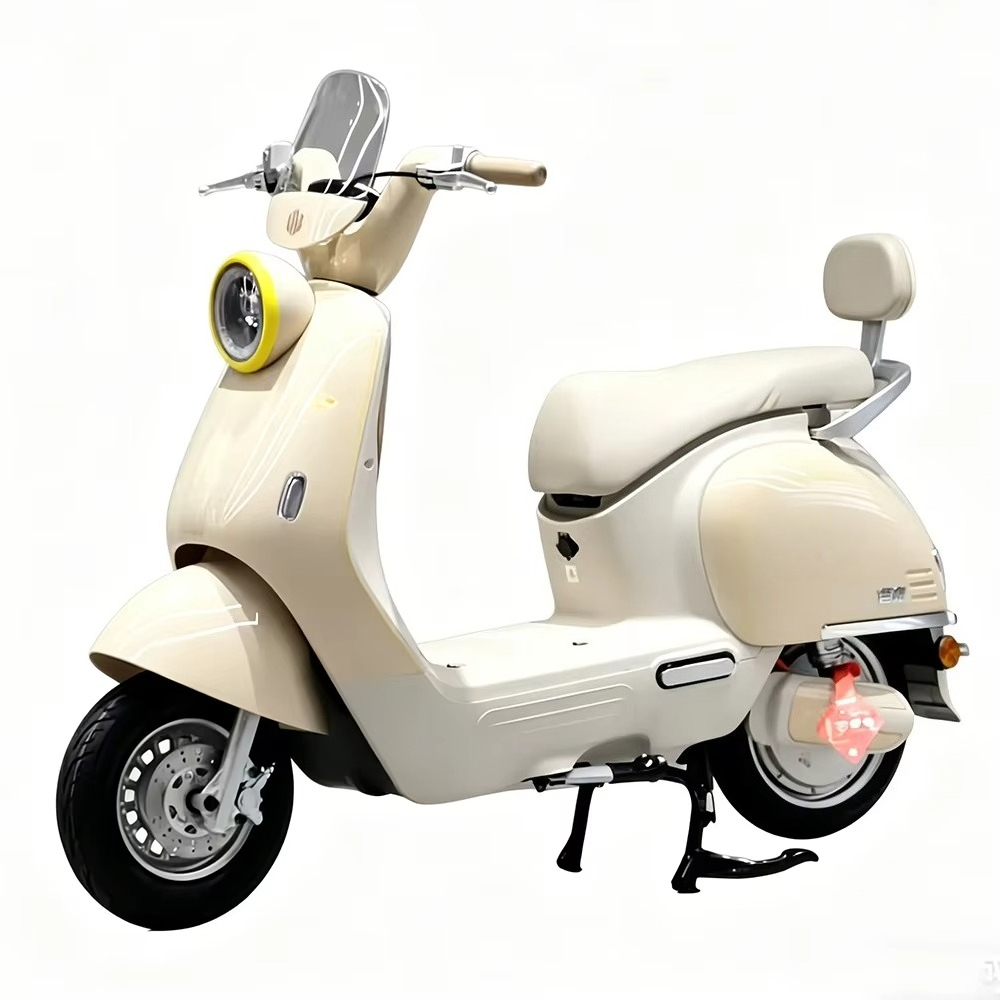 EER Elektromotorrad für Erwach – Brake Disc Motorcycle Bewertung und Preis