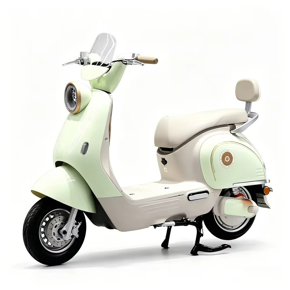 EER Elektromotorrad für Erwach – Brake Disc Motorcycle Bewertung und Preis