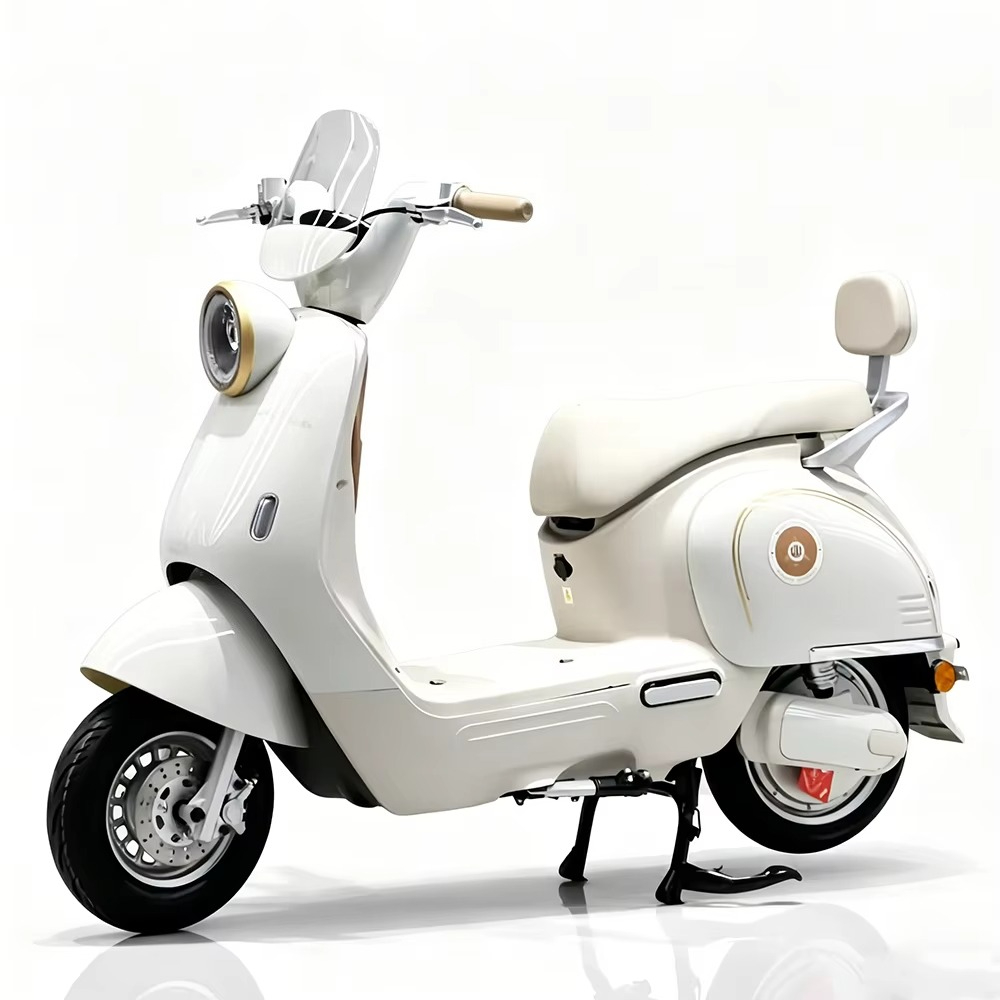 EER Elektromotorrad für Erwach – Brake Disc Motorcycle Bewertung und Preis